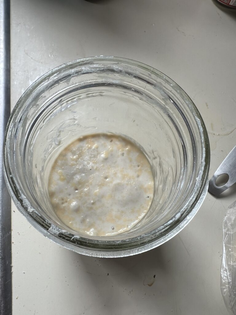 A starter that has gone bad, as noted by the orange around the outer edge and dotted throughout the surface.