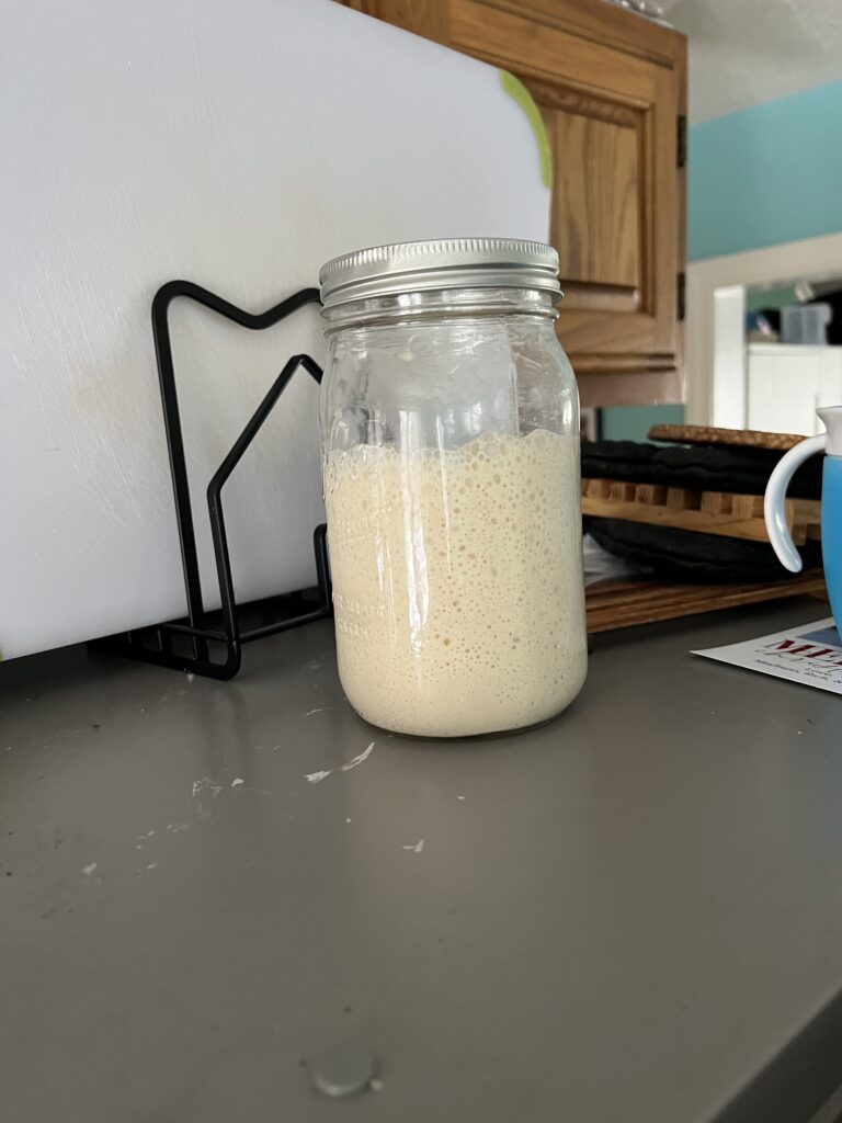 100% Hydration Sourdough Starter That Has Risen And Already Fallen Most Of The Way. The Starter Is Kept On Top Of The Refrigerator.